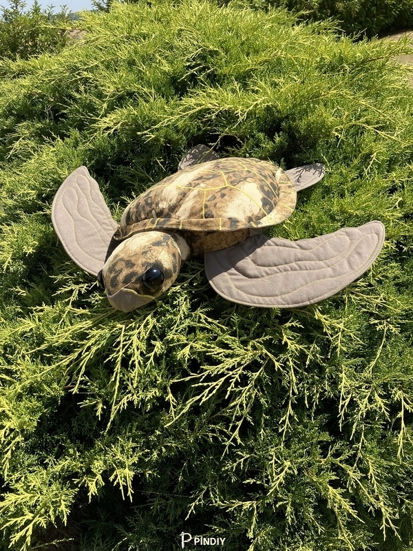 TORTUE 1.jpg