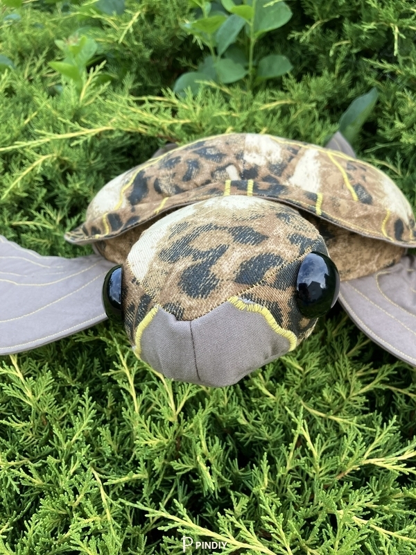 TORTUE 3 tête.jpg