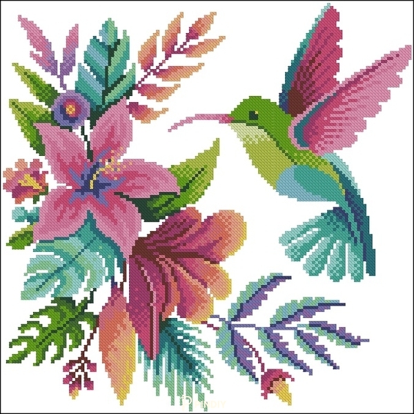 EC Bird of Paradise - CS 438 XSD.jpg