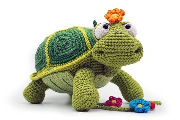 Ildiko Struning - Birtle the Turtle.jpg