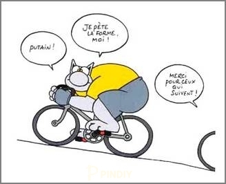 220710-chat-velo.jpg