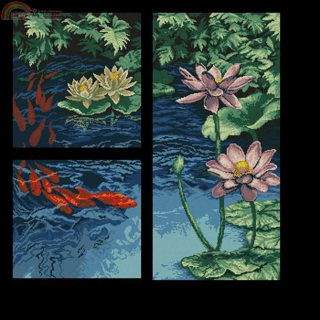 Fish & Water Lilies.jpg