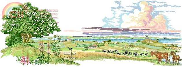 Farm Scenery.jpg