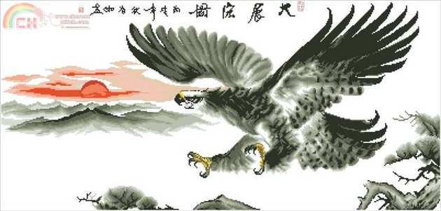 FLYING EAGLE.jpg