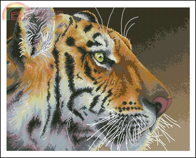 Dim 35171 REGAL TIGER.jpg