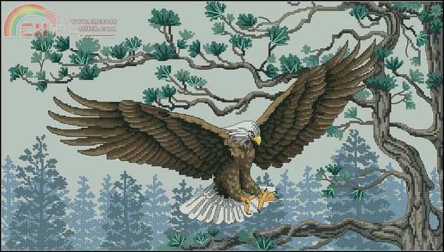 Dimensions 13640_Majestic_Eagle.jpg