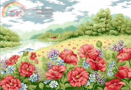WIN-KCS-G017 a poppy.jpg