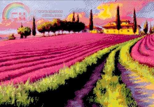 Lavandula field.jpg