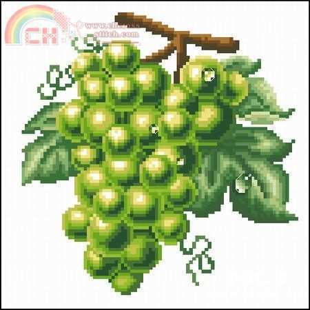 grape(green).jpg