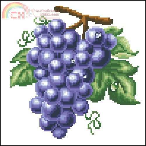 grape(purple).jpg