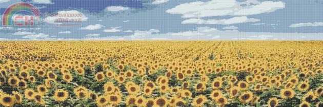 sun flows.jpg