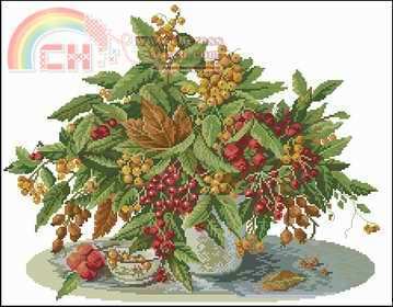 ER 14-261 Golden berries.jpg