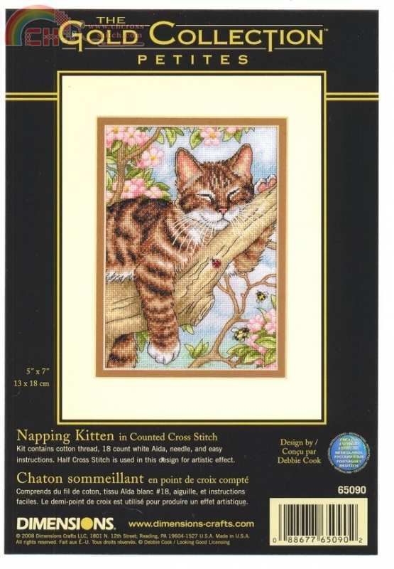 Dimensions 65090-Napping kitten-pic.jpg