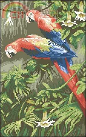  38001 Parrots Jewels of the forest-virt.jpg