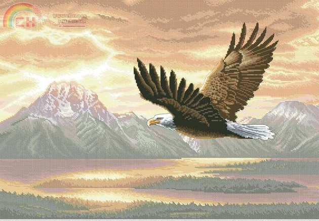 Dimensions 35165 - Silent Flight.jpg