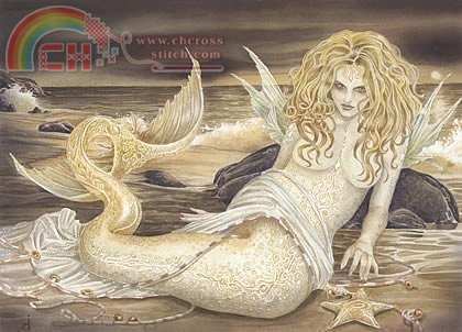 HAE-ID012 - Starfish.jpg