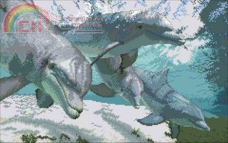School of Dolphins.jpg