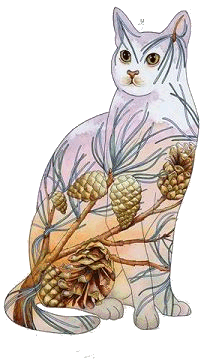 HAXP1869 Cat 4 Myrea Pettit.gif