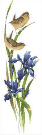 Rhapsody_in_Blue.jpg