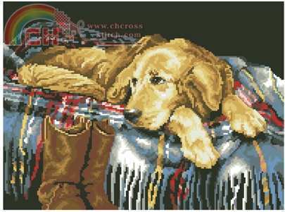 DIM 20005  - Loyal Friend.jpg