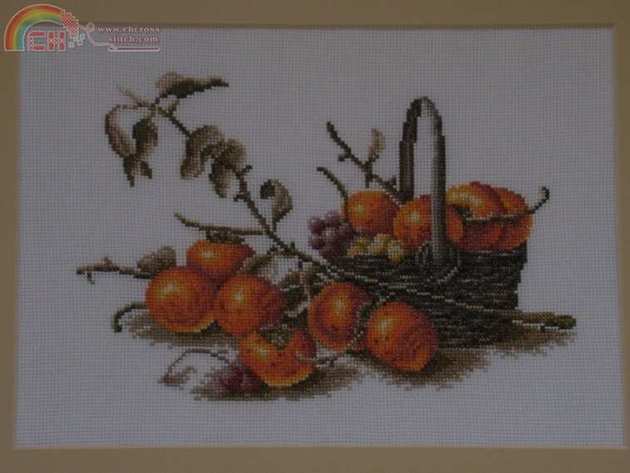 basket of tomateos.JPG