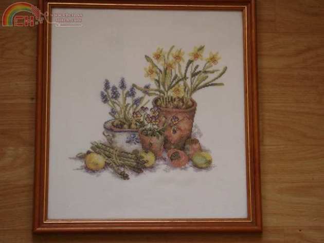 still life-2.JPG