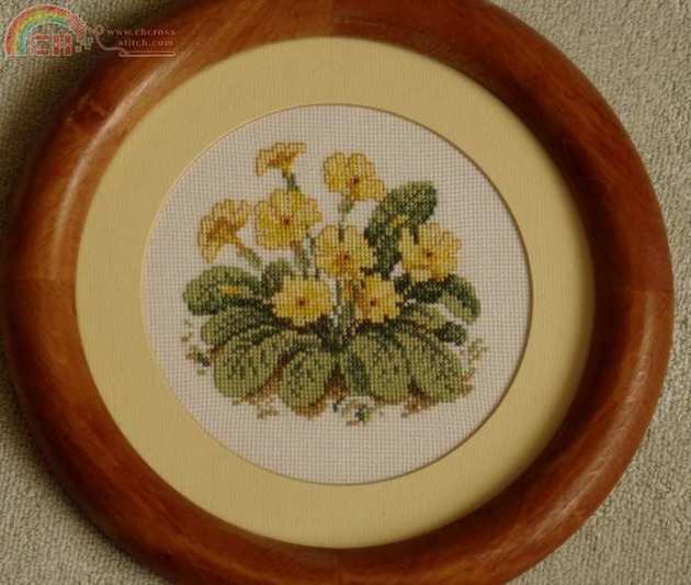 flowers-primrose.JPG