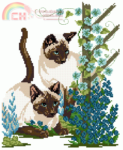 cats_sum.GIF
