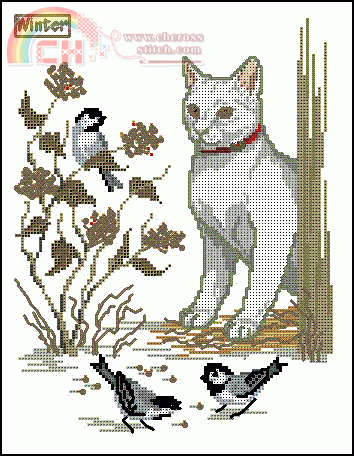 Winter cat.GIF