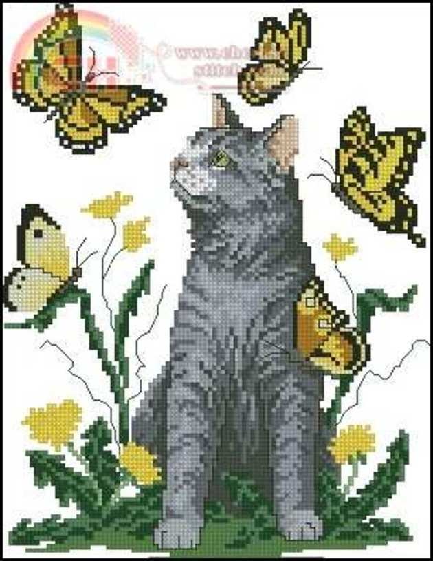 Spring cat.jpg
