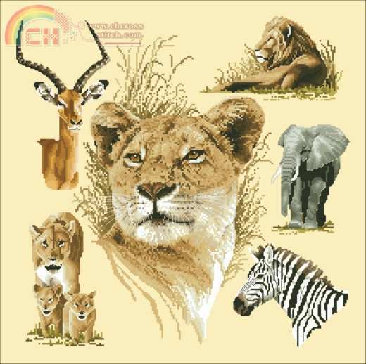 Safari collection.jpg
