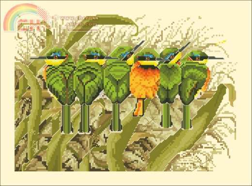 Little Bee-eaters.jpg