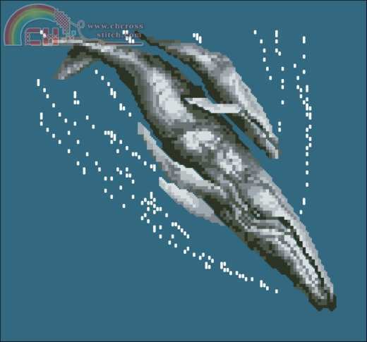 Humpback Whale and Calf.jpg