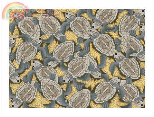 Baby Turtles.jpg