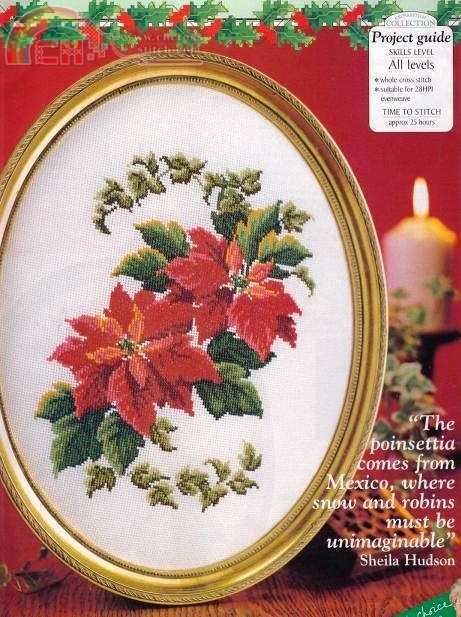CSCollection_The_First_Poinsettia.JPG