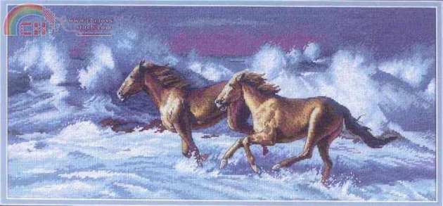 35142 Wave & Runner.jpg
