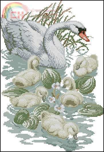 Pako 235-321 Swan & Signets.jpg