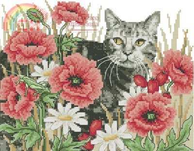 CSG-42_autumn_cat.jpg