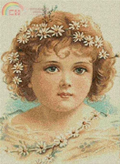 ldaisy.jpg