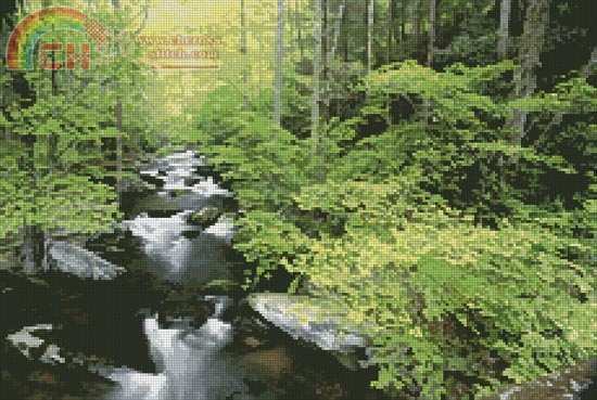 lforeststream.jpg