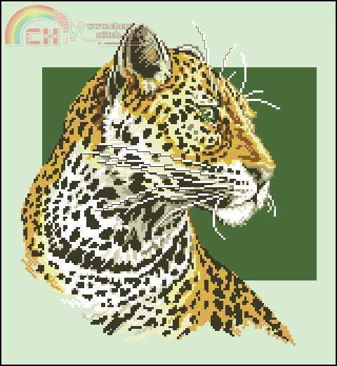 Panna 664- leopard-virt.jpg