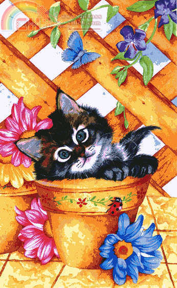 KAEKAM 503 - Trellis Kitty.jpg