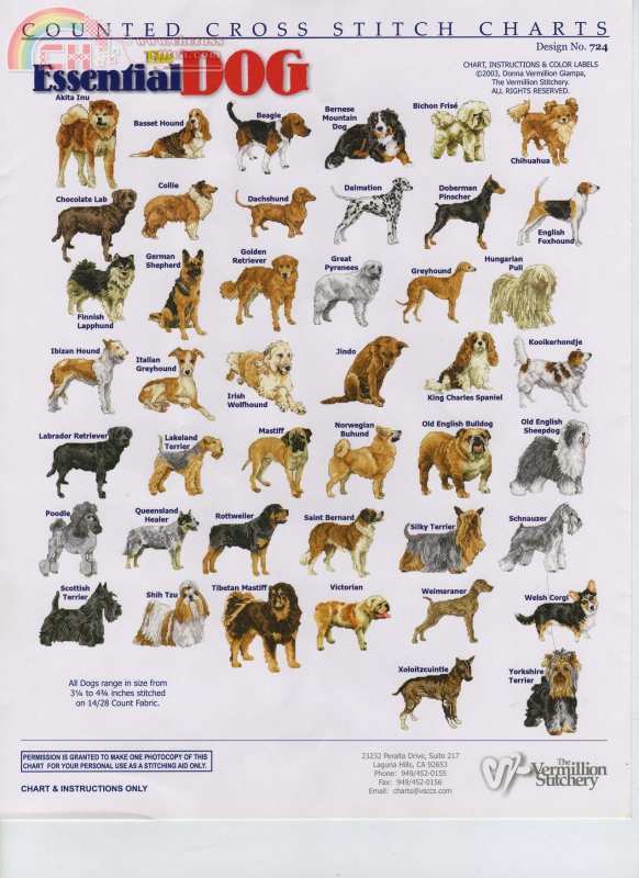 Vermillion Dogs.jpg