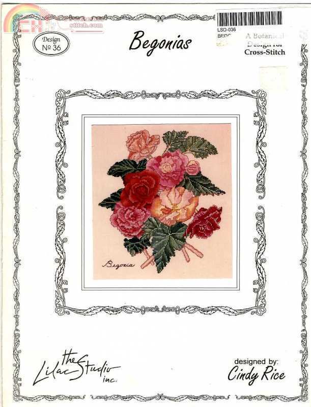 LS 36 Begonias.jpg