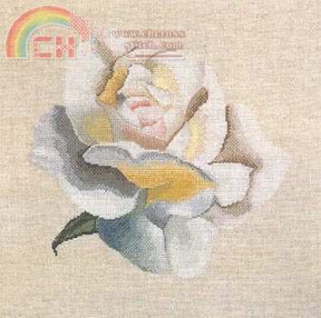 DMC XC1041 White Rose (1).jpg