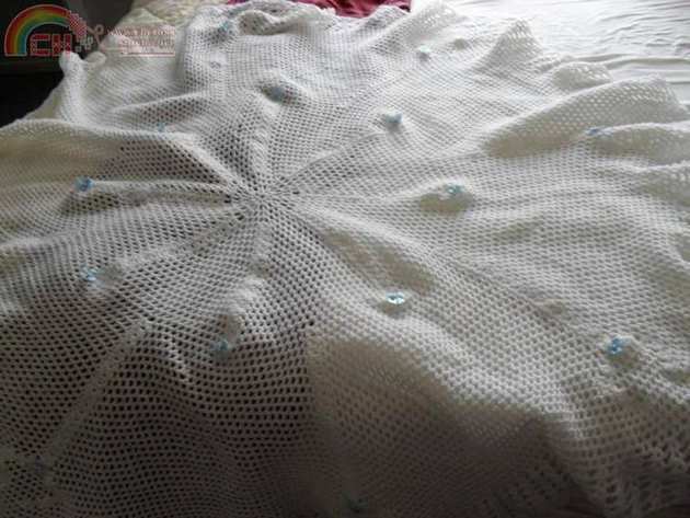 shawl for Frankie Joe 1.JPG