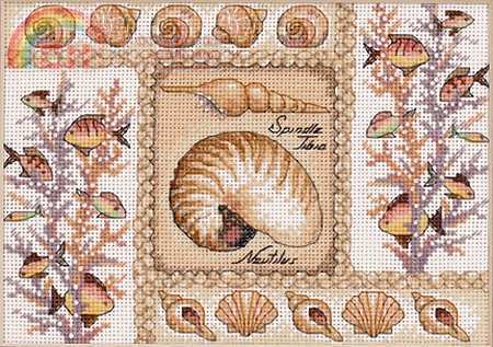Dimensions 65089 Nautilus Shells.jpg