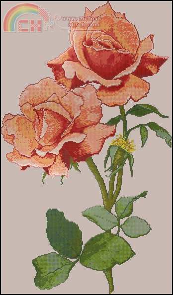 SL042 Lyndi\'s Favorite.jpg