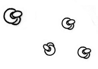 step8.gif