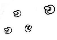 Lstep8.gif